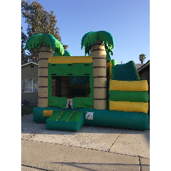 Tropical Bounce House w/ 9 foot slide